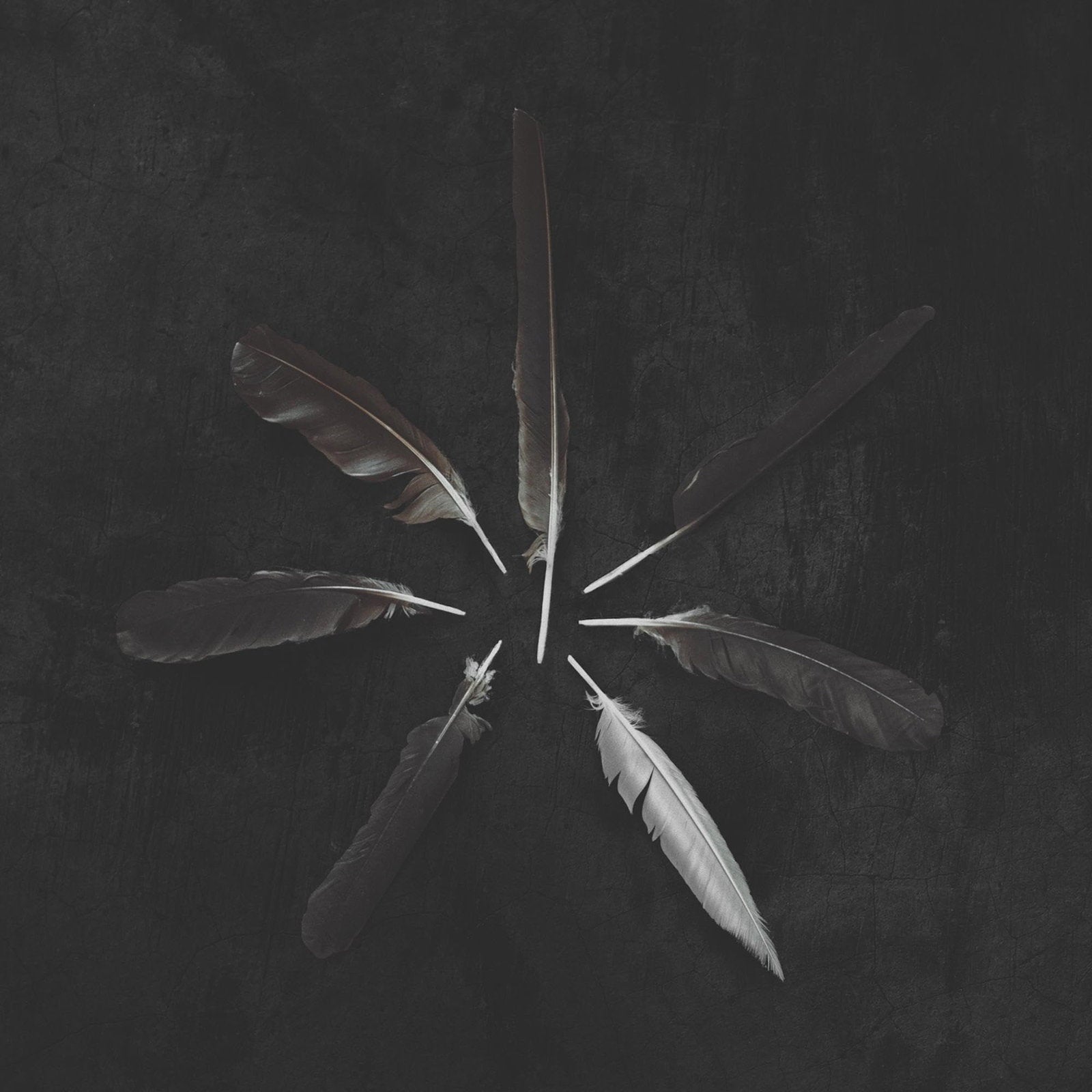 CASPIAN - DUST & DISQUIET