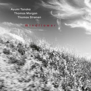 TANAKA,AYUMI & THOMAS MORGAN & THOMAS STRONEN - WINDFLOWER