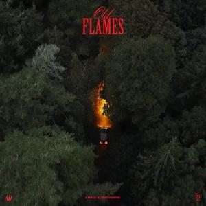 LA ROUX - OLD FLAMES