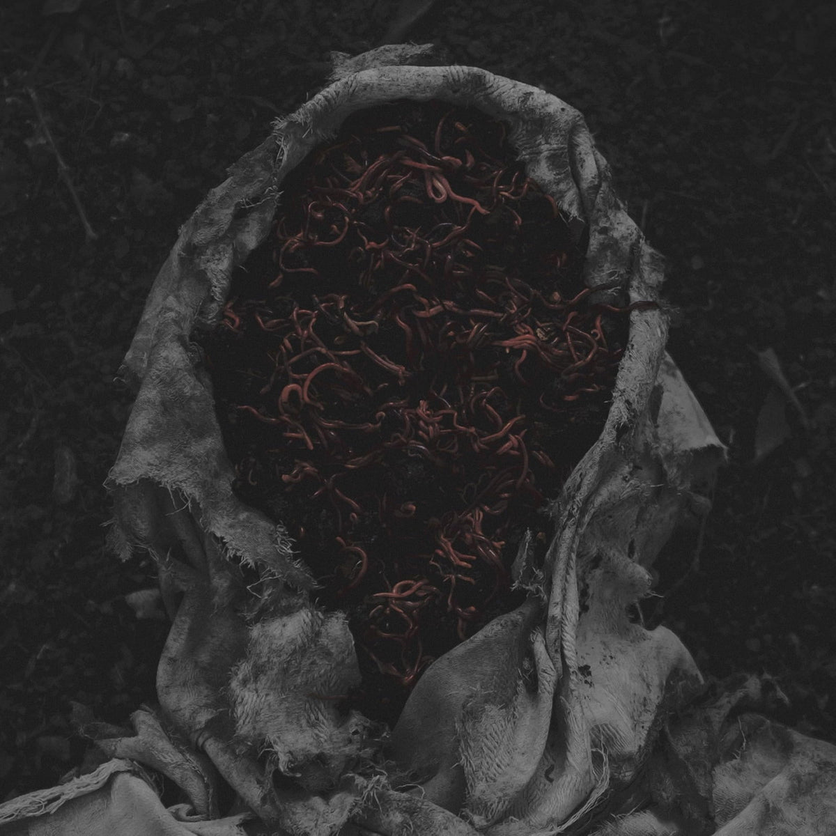 GORRCH - STILLAMENTUM
