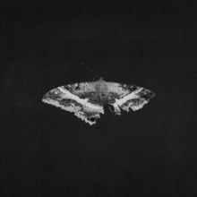 Lamar,kendrick - To Pimp A Butterfly (x) (10 Year Anniversary Edition/Alternate Artwork/180g/2lp)