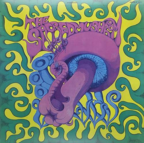 SACRED MUSHROOM - SHAKE IT MUSHROOM