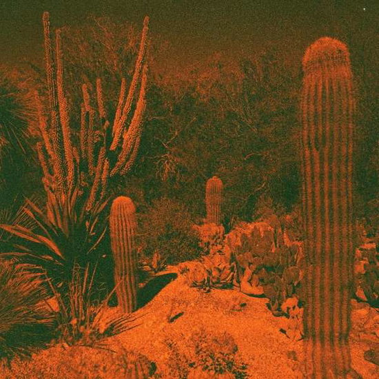 KNOWLER CAMERON & ELI WINTER - ANTICIPATION