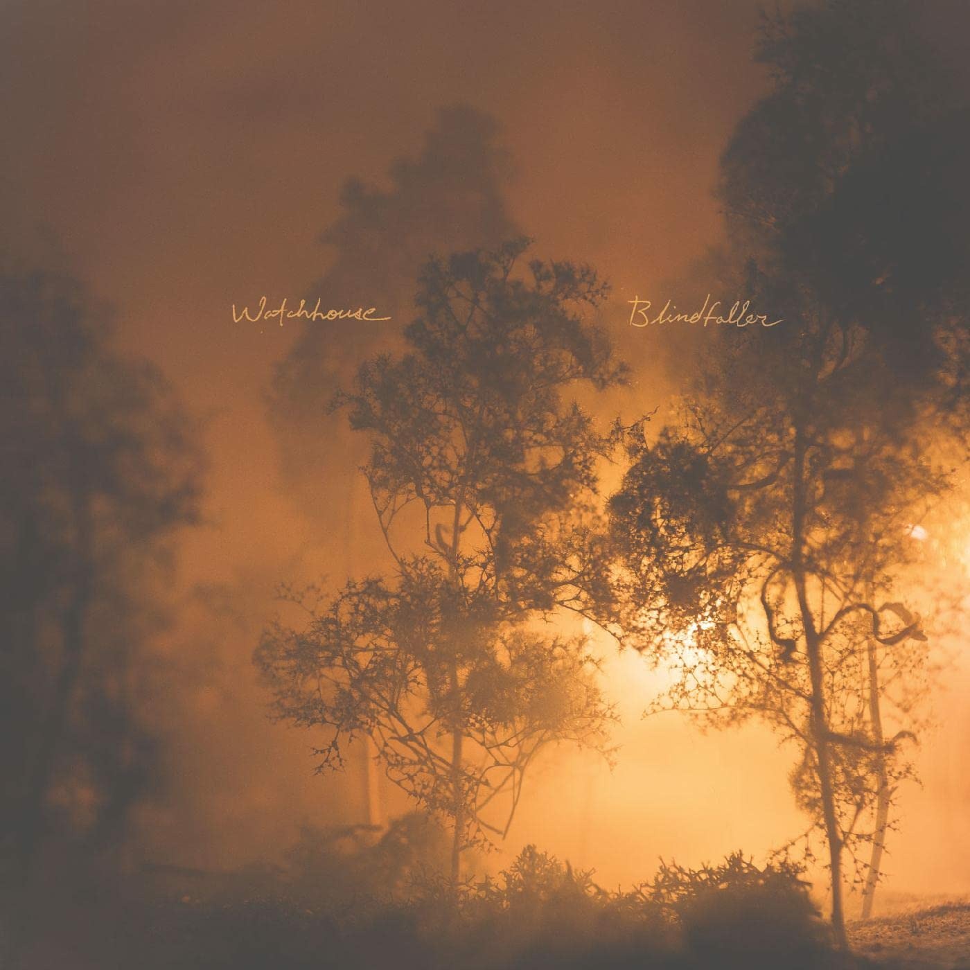 WATCHHOUSE - BLINDFALLER