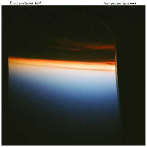 DUCK. LITTLE BROTHER, DUCK! - DON'T TAKE OUR FILTH AWAY (NAVY & AMBER A SIDE/B SIDE VINYL)