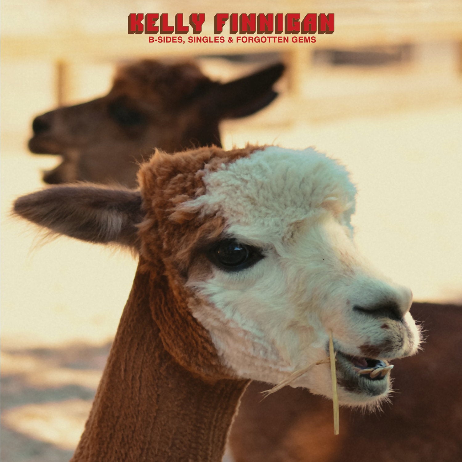 FINNIGAN,KELLY - B-SIDES, SINGLES & FORGOTTEN GEMS