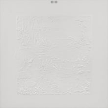 Bon Iver - Bon Iver (10th Anniversary Edition)