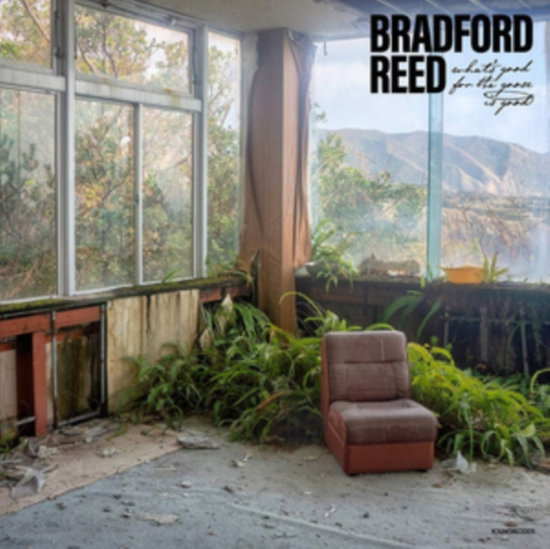 REED,BRADFORD - WHAT'S GOOD FOR THE GOOSE IS GOOD