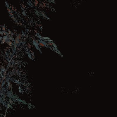 ROLEFF,LUCY & LEHMANN B SMITH - DARK GREEN