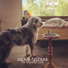Ostrar,adam - Worried Coat
