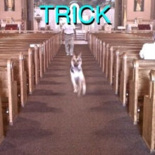 G,alex - Trick