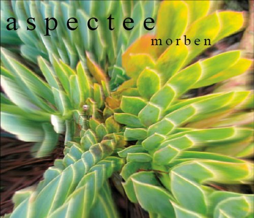 ASPECTEE - MORBEN
