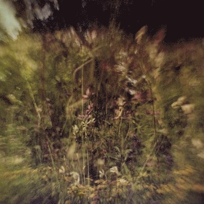 PLURALONE - ACROSS THE PARK B/W SEVENS