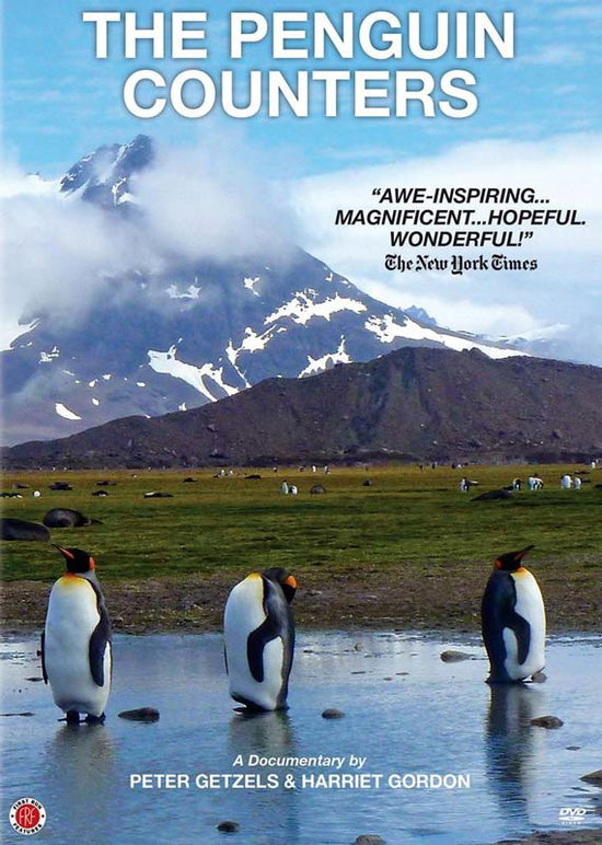 PENGUIN COUNTERS - PENGUIN COUNTERS