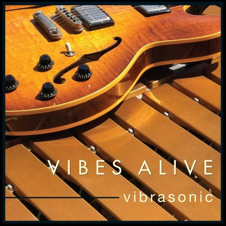 VIBES ALIVE - VIBRASONIC