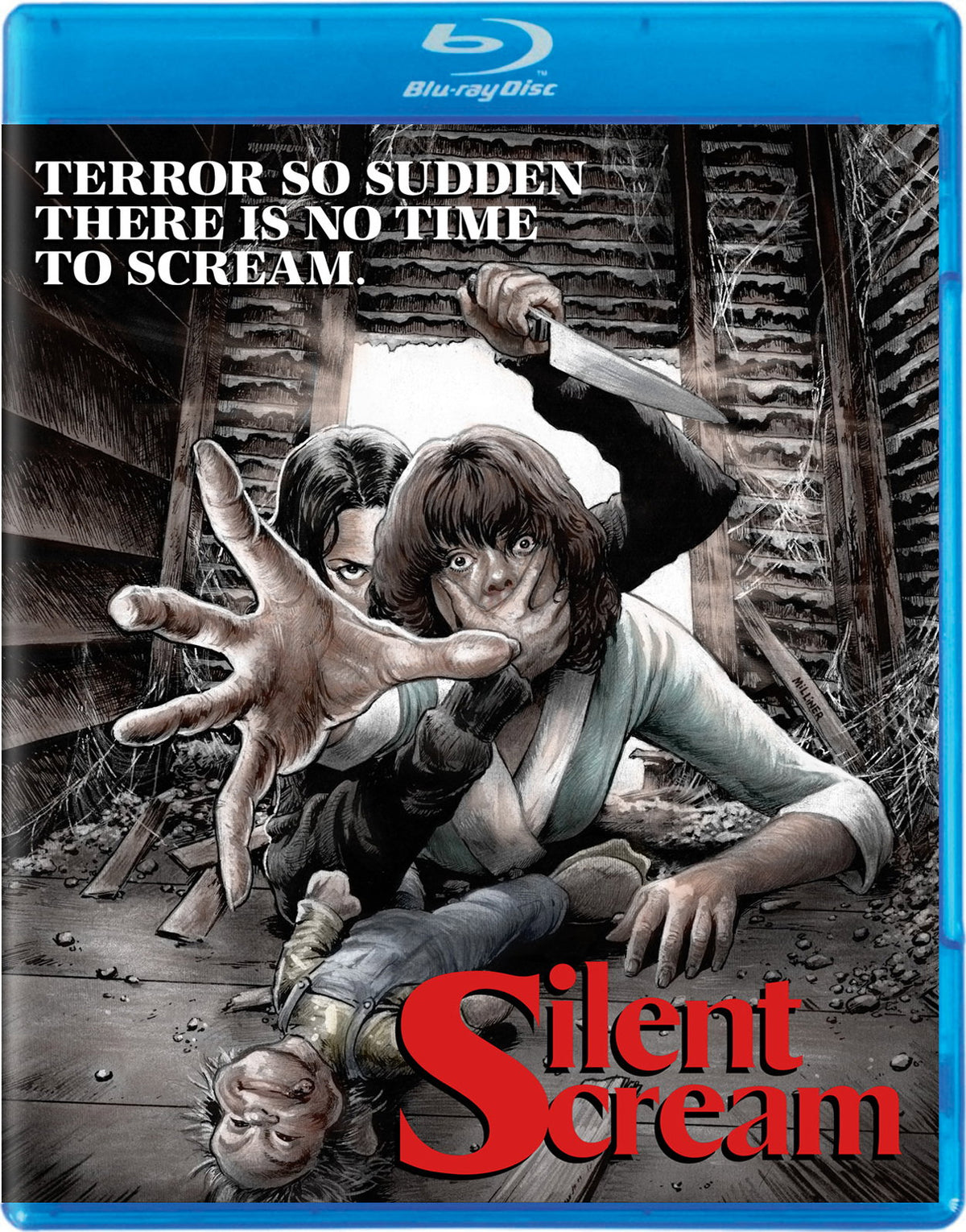 SILENT SCREAM (SPECIAL EDITION) - SILENT SCREAM (SPECIAL EDITION)