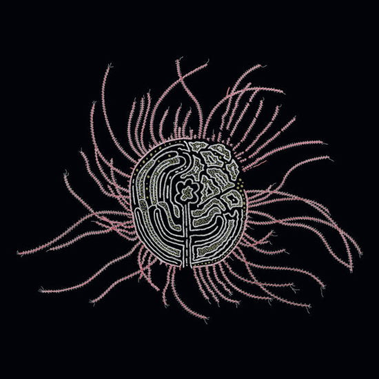 KA BAIRD - BEARINGS: SOUNDTRACKS FOR THE BARDOS