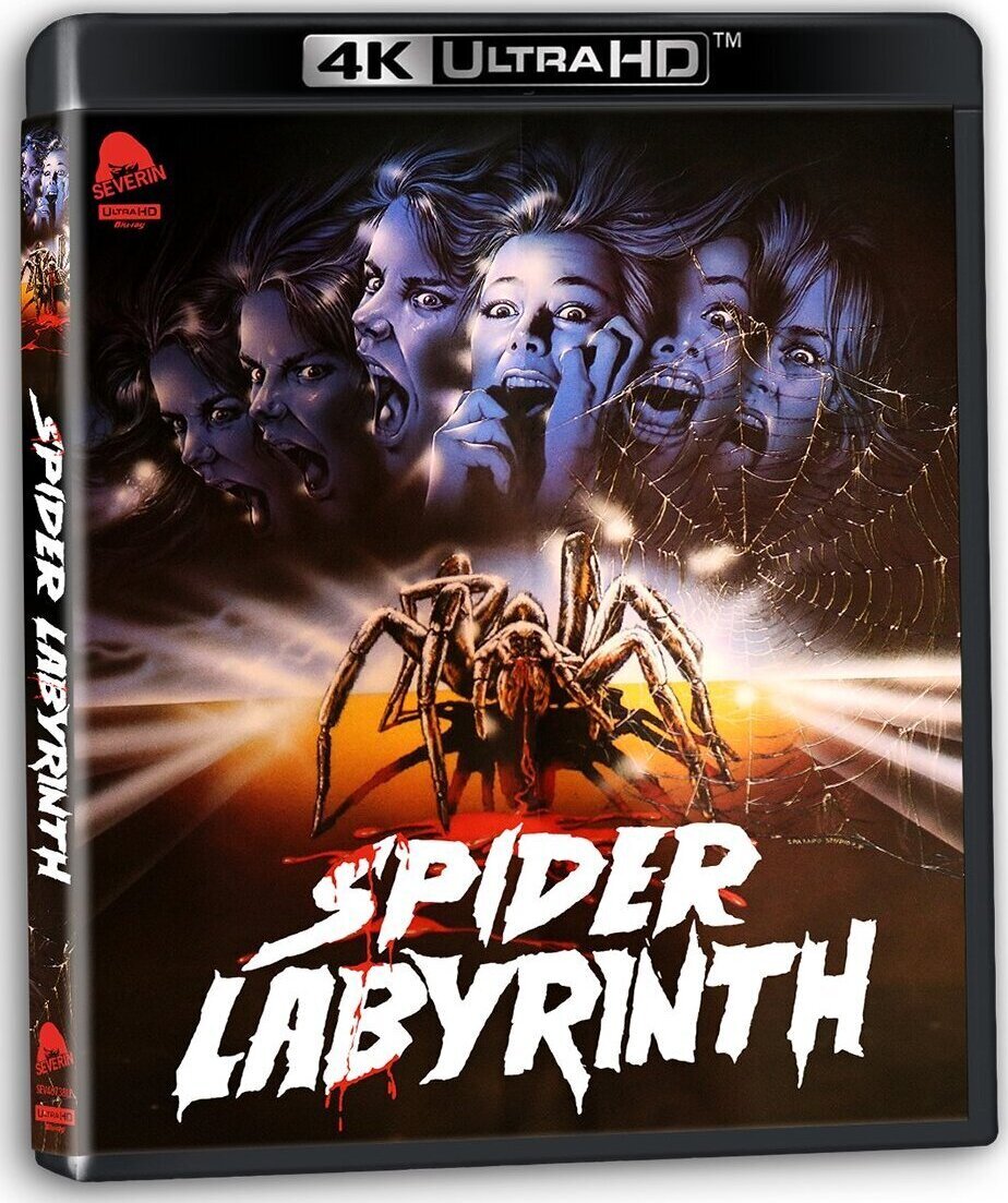 SPIDER LABYRINTH