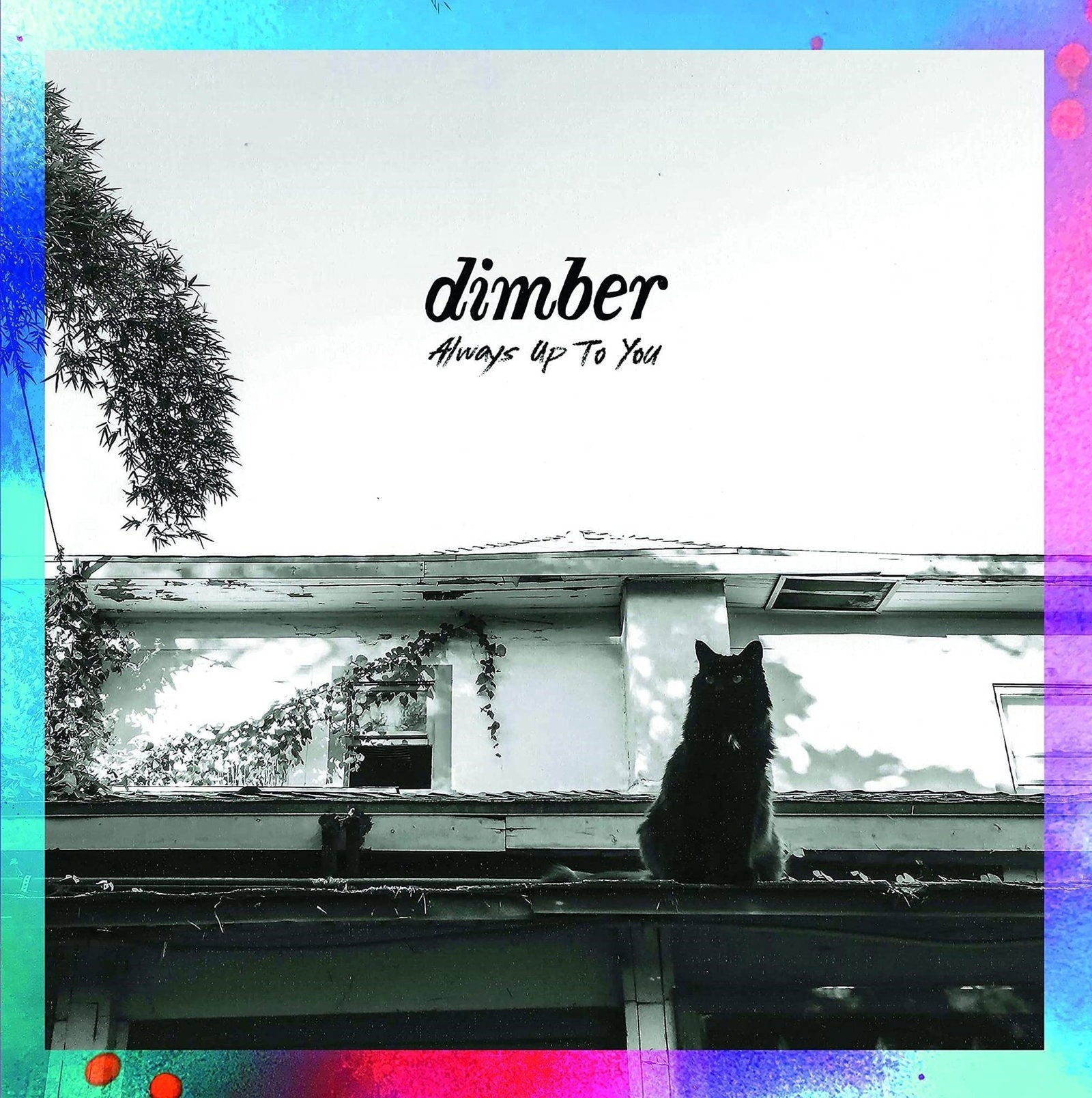 DIMBER - ALWAYS UP TO YOU