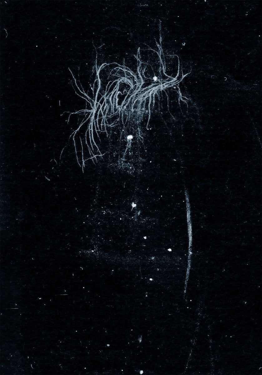 MY HEART, AN INVERTED FLAME - MY DEATH IS MORE BEAUTIFUL THAN YOUR LIFE