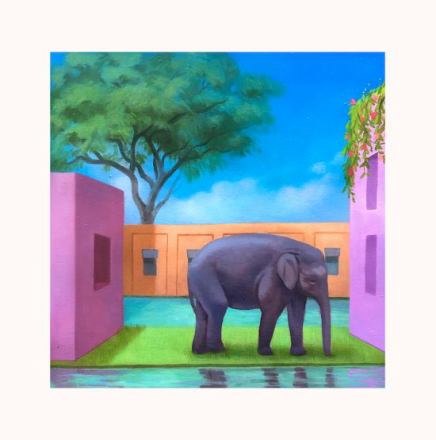 KOREA TOWN ACID - ELEPHANT IN THE ROOM