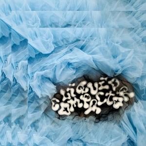 PENNY & THE PITS - LIQUID COMPACTOR (CLEAR VINYL)