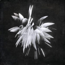 Windler,brent - New Morning