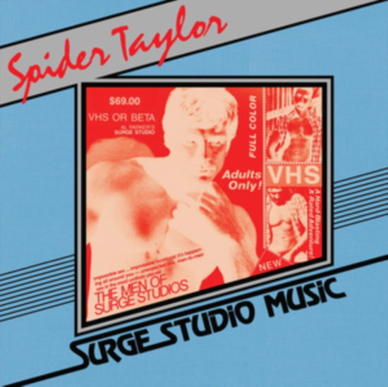 TAYLOR SPIDER - SURGE STUDIO MUSIC