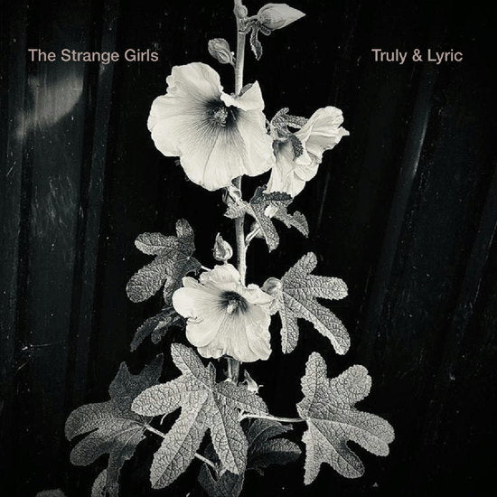 STRANGE GIRLS - TRULY & LYRIC