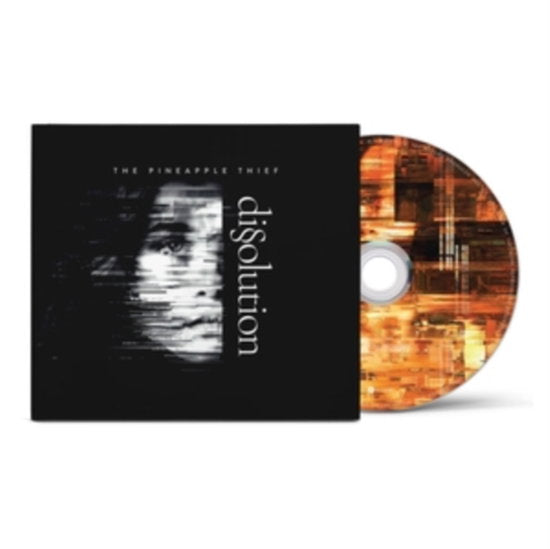 PINEAPPLE THIEF - DISSOLUTION