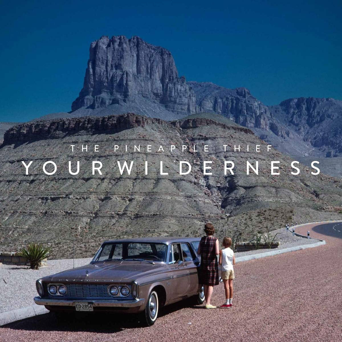 PINEAPPLE THIEF - YOUR WILDERNESS (10TH ANNIVERSARY CLEAR/2LP)