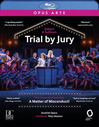 VARIOUS ARTISTS - TRIAL BY JURY / A MATTER OF MISCONDUCT!