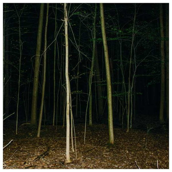 EXPRESS RISING - FIXED ROPE II