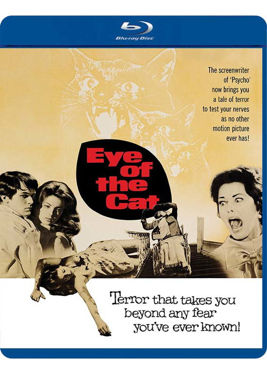 EYE OF THE CAT - EYE OF THE CAT