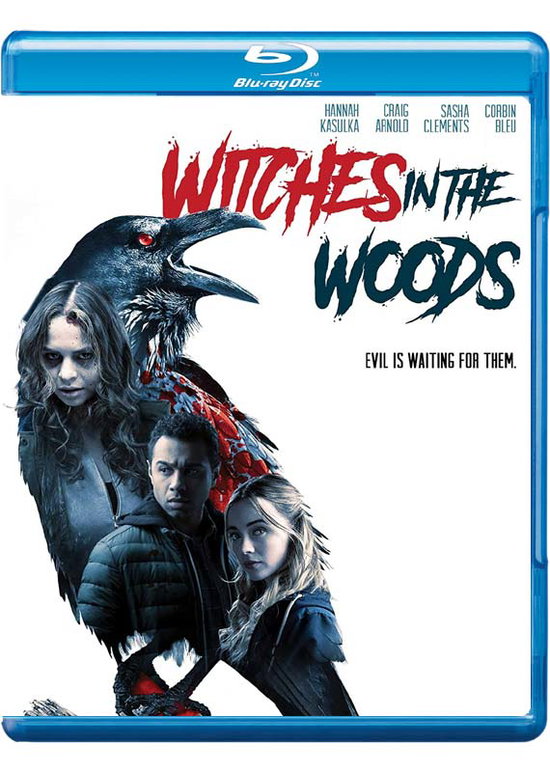 WITCHES IN THE WOODS - WITCHES IN THE WOODS