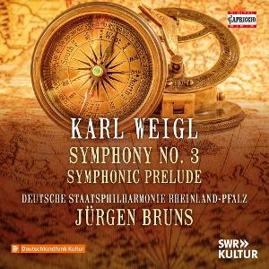 DEUTSCHE STAATSPHILHARMONIE RHEINLAND-PFALZ - WEIGL: SYMPHONY NO. 1; PICTURES & TALES