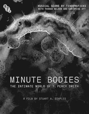 MINUTE BODIES - MINUTE BODIES