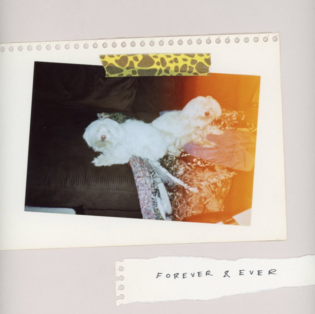 SALES - FOREVER & EVER