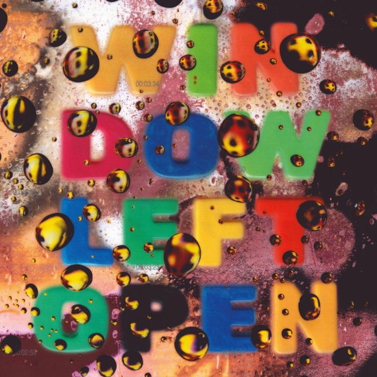 FREUND,KEITH - WINDOW LEFT OPEN
