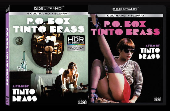 P.O. BOX TINTO BRASS (2 DISC EDITION) (4K UHD) - P.O. BOX TINTO BRASS (2 DISC EDITION) (4K UHD)
