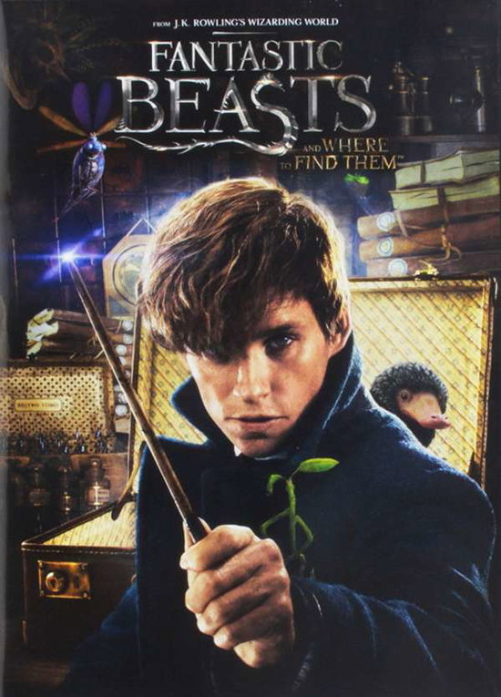 FANTASTIC BEASTS & WHERE TO FIND THEM - FANTASTIC BEASTS & WHERE TO FIND THEM