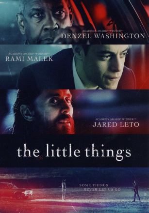 LITTLE THINGS (DVD/DIGITAL) - LITTLE THINGS (DVD/DIGITAL)