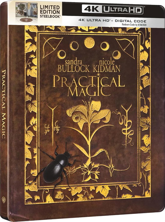 PRACTICAL MAGIC (4K ULTRA HD STEELBOOK) - PRACTICAL MAGIC (4K ULTRA HD STEELBOOK)