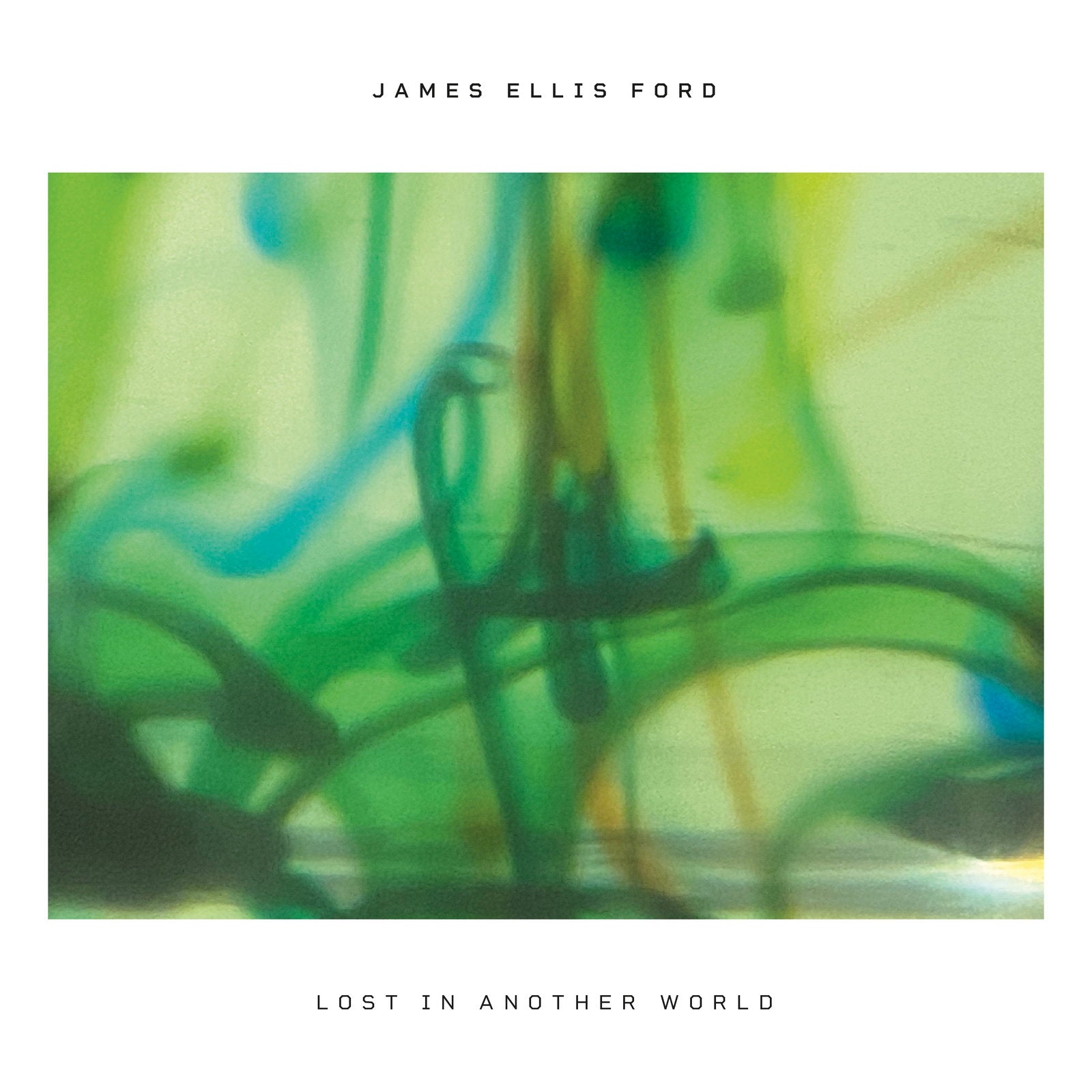 FORD,JAMES ELLIS - LOST IN ANOTHER WORLD