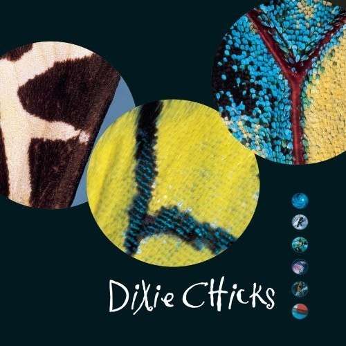 CHICKS - FLY