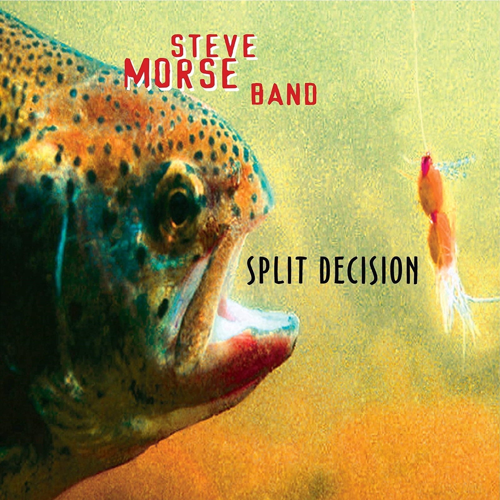 MORSE,STEVE BAND - SPLIT DECISION