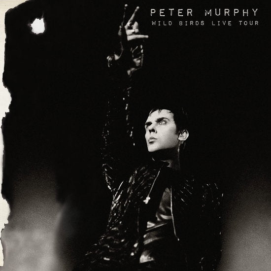 MURPHY,PETER - WILD BIRDS LIVE TOUR (2CD)