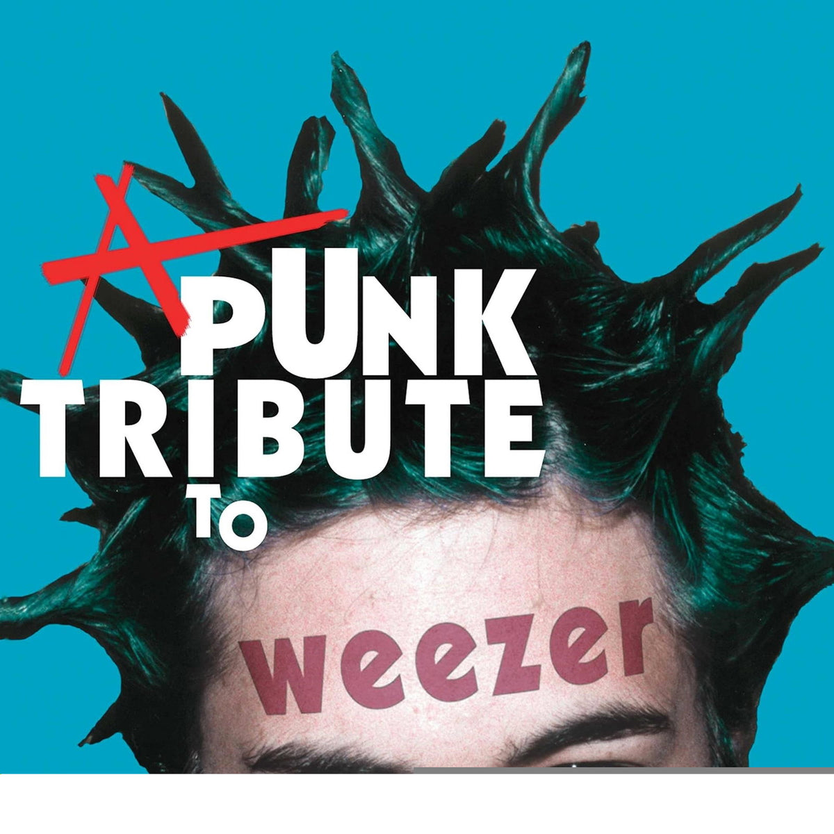 VARIOUS ARTISTS - PUNK TRIBUTE TO WEEZER RIOUS