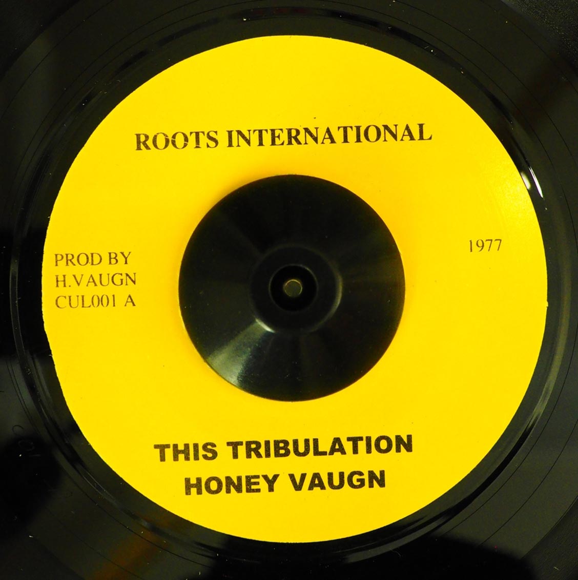 Honey Vaugn - This Tribulation  /  Revolutionaries - Tribulation Dub