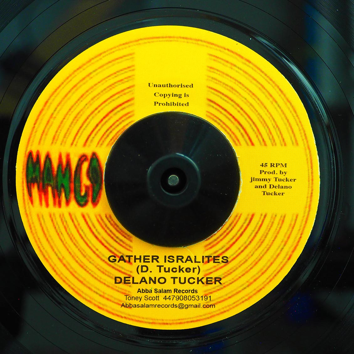 Delano Tucker - Gather Israelites  /  Gathering Dub